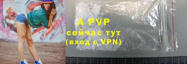 a pvp Ельня