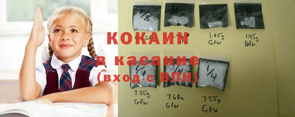 a pvp Ельня