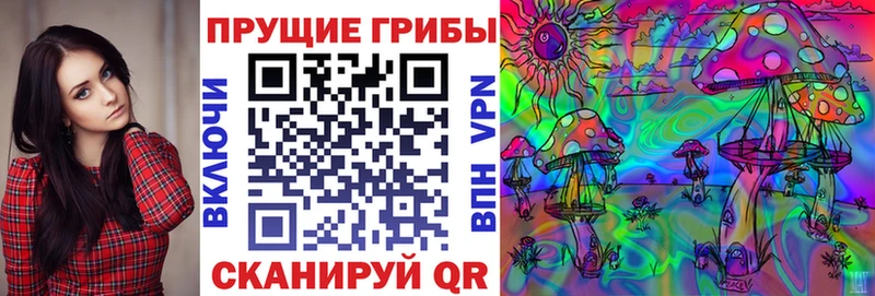 даркнет сайт  omg как зайти  Галлюциногенные грибы Magic Shrooms  Сланцы 