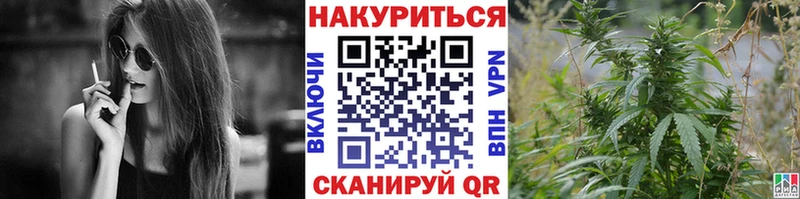 МАРИХУАНА план Сланцы
